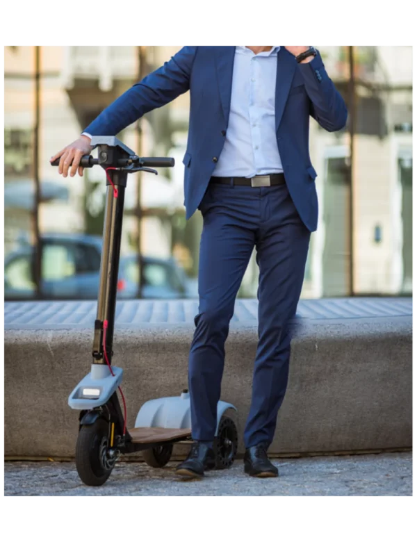 PATINETE ELÉCTRICO TRES RUEDAS LYNX EVISION - Imagen 7