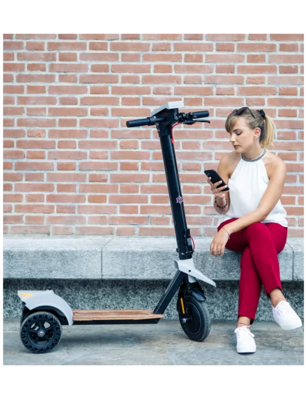 PATINETE ELÉCTRICO TRES RUEDAS LYNX EVISION - Imagen 8