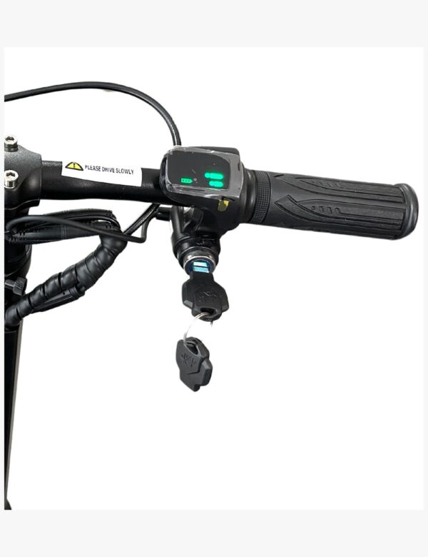 CUATRICICLO ELÉCTRICO PLEGABLE CAREWAY LITE TRAVEL VERSION - Imagen 12