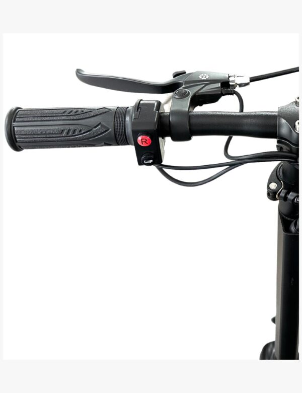 CUATRICICLO ELÉCTRICO PLEGABLE CAREWAY LITE TRAVEL VERSION - Imagen 13