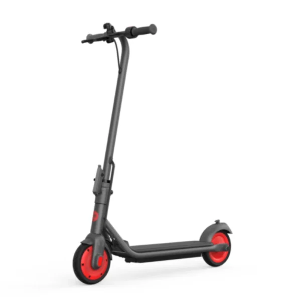 patinete-electrico-segway-ninebot-kickscooter-serie-zing-c20